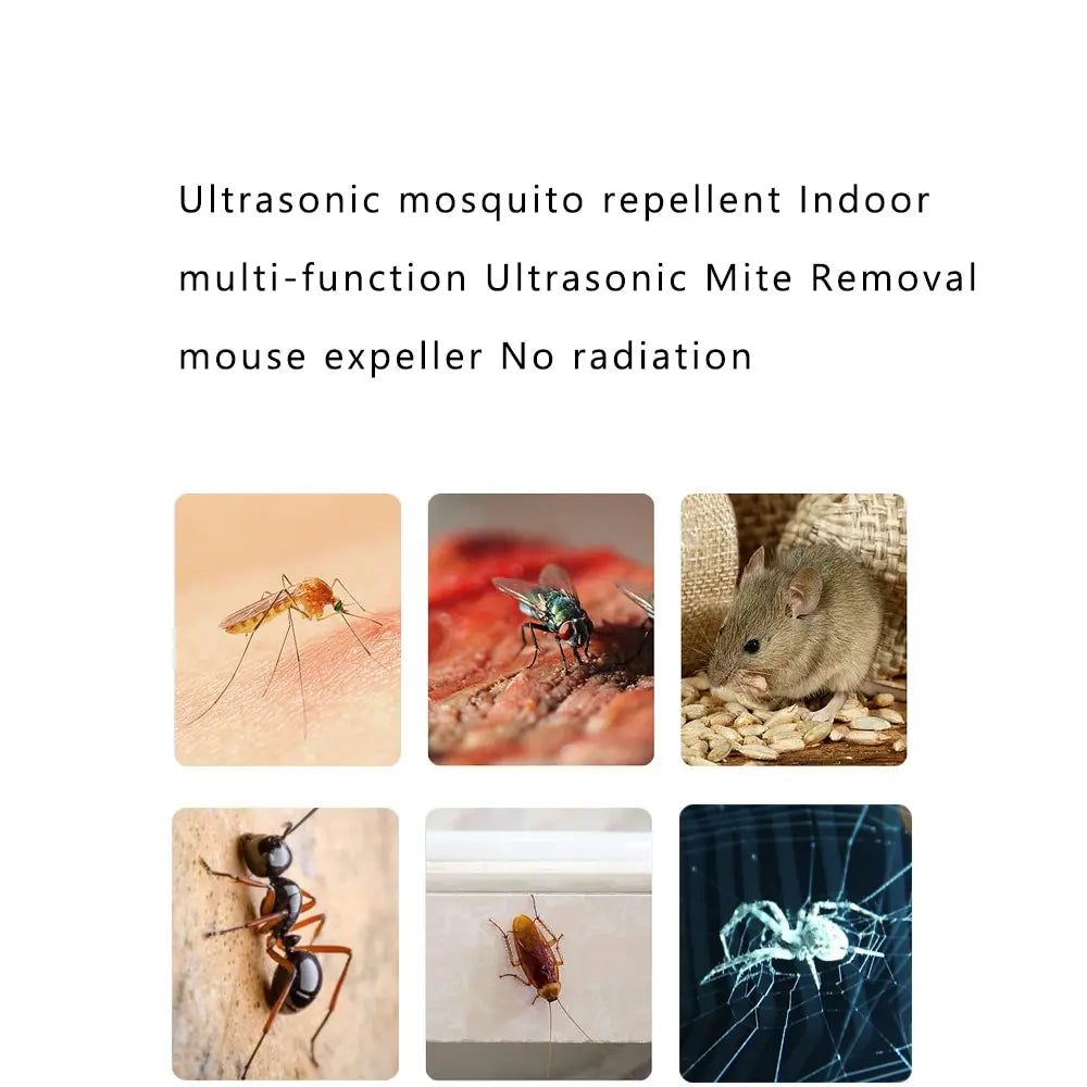 Power Mite Ultrasonic Mite Removal
